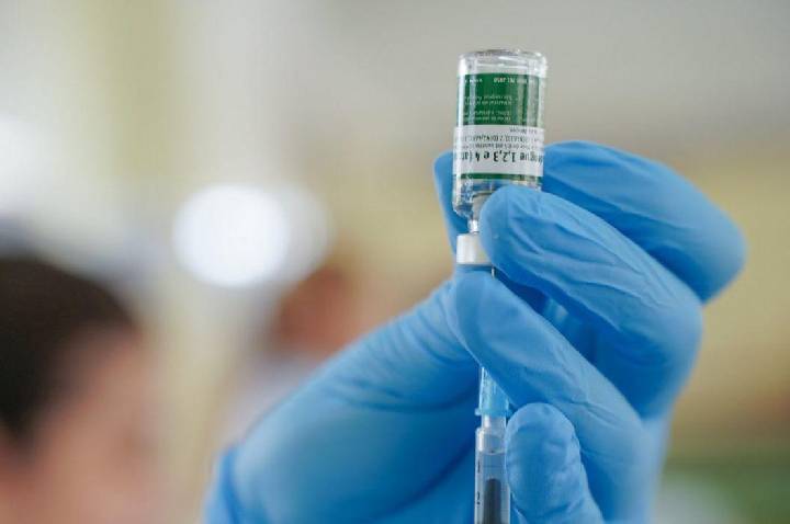 Dengue: Anvisa cria grupo para avaliar segurança da vacina do Butantan