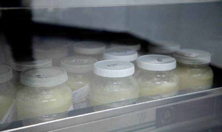 Doação de leite materno ajuda a salvar bebês prematuros em Barueri