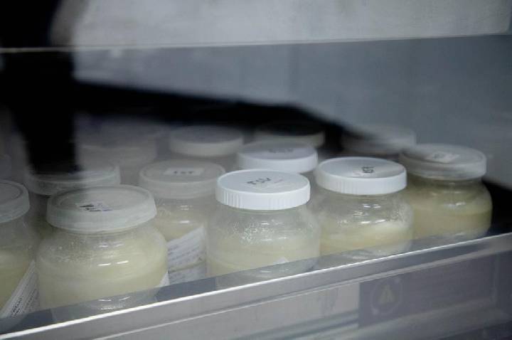 Doação de leite materno ajuda a salvar bebês prematuros em Barueri