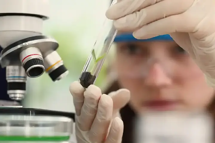 Imersão científica leva alunas e professoras a centros tecnológicos