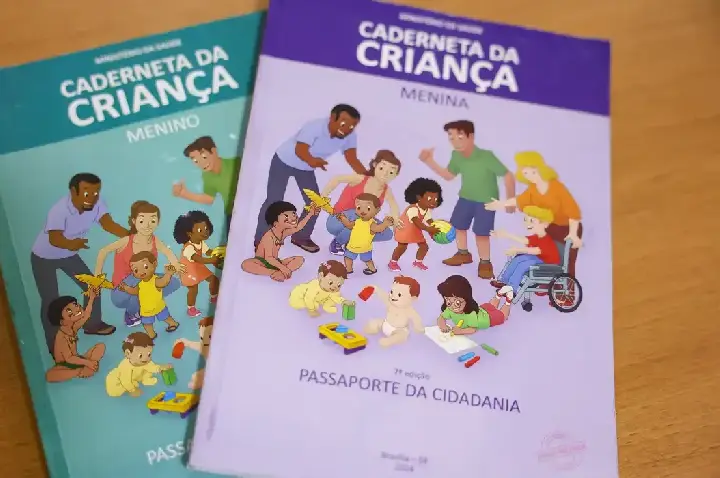 Vacinação com a Pneumo 20 pelo SUS começa em duas semanas, diz Padilha