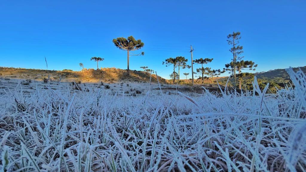 Saiba o que esperar do inverno de 2025, que já começou