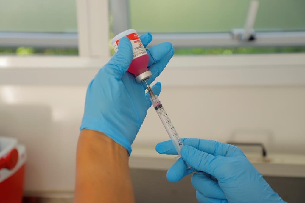 Sábado é dia de vacinação contra raiva para cães e gatos