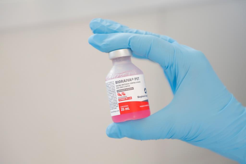 Vacinação contra raiva para cães e gatos continua em julho em Barueri