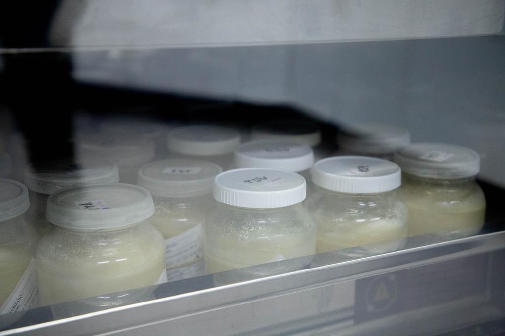 Doação de leite materno ajuda a salvar bebês prematuros em Barueri